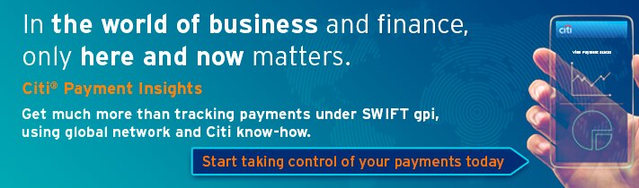 Citi Payment Insights